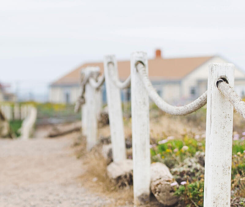 Why Is Wedding Photography So Expensive