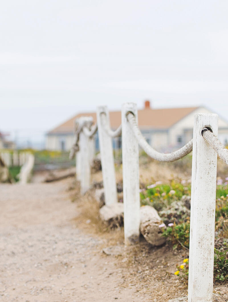 Why Is Wedding Photography So Expensive